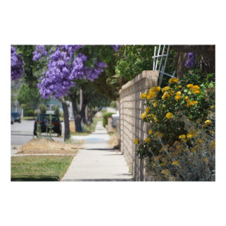 Impression Photo Un chemin