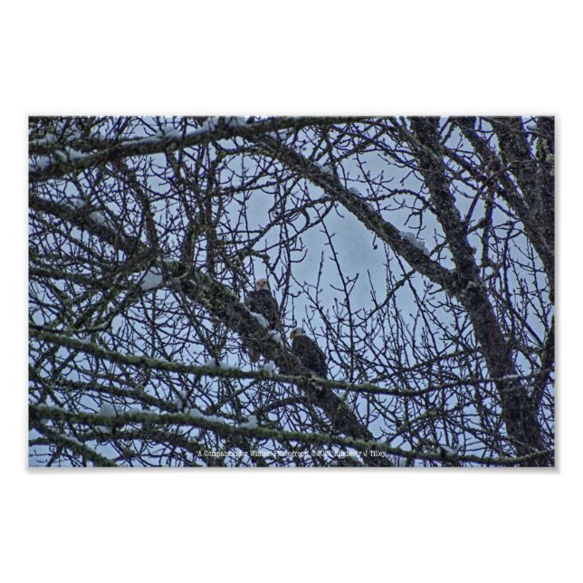Impression Photo Un compagnon pour l'hiver (Devant)