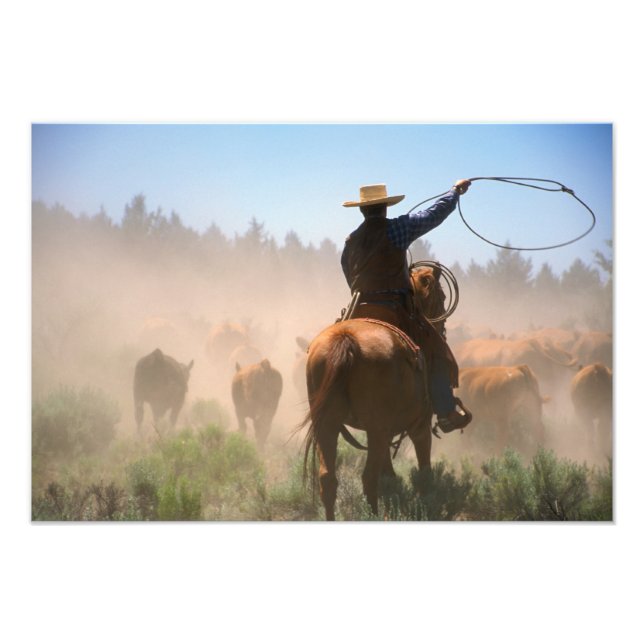 Impression Photo Un cow-boy travaillant le troupeau dans un élevage (Devant)