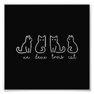 Impression Photo Un Deux Trois Cat Abstrait Français Kitty