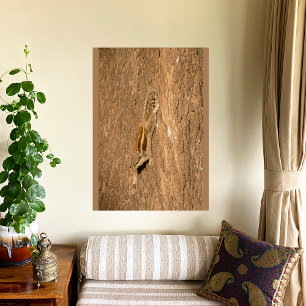 Impression Photo Un écureuil de palme indien sur un tronc d'arbre