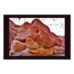 Impression Photo Un éléphant à Petra