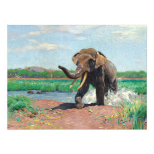 Impression Photo Un éléphant indien dans un trou d'eau par Wilhelm