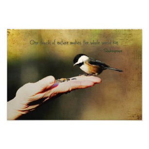 Impression Photo Un oiseau dans la main