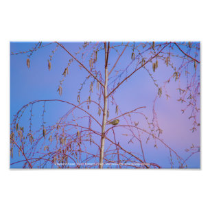 Impression Photo Un secret au coucher du soleil