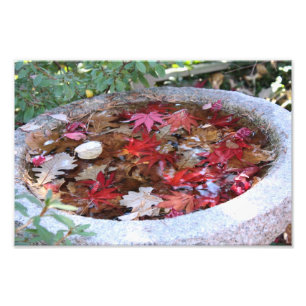 Impression Photo Un service d'automne