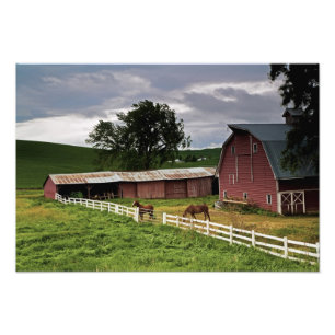 Impression Photo Un tour par le pays de ferme de Palouse 4