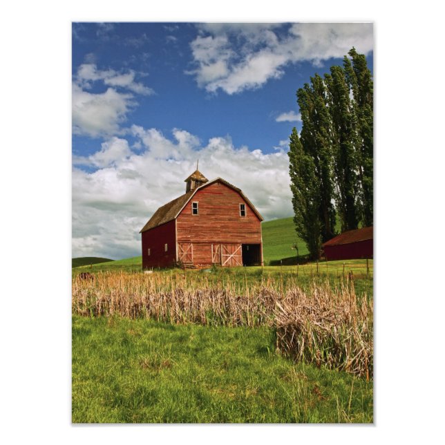 Impression Photo Une balade à travers la campagne de Palouse (Devant)