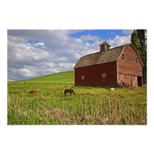 Impression Photo Une balade à travers le pays agricole de Palouse 3
