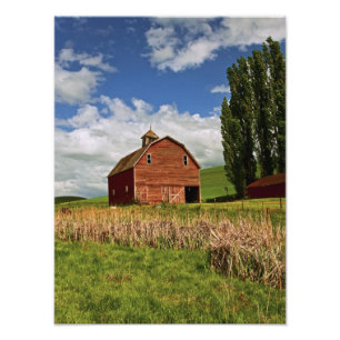 Impression Photo Une balade dans le pays agricole de Palouse