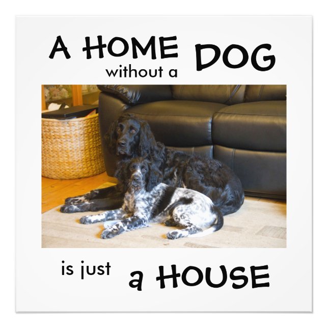 Impression Photo Une maison sans chien n'est qu'une maison - décora (Devant)