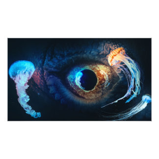 Impression Photo Une Rencontre En Mer Profonde