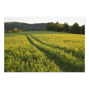 Impression Photo Une route agricole dans Sabins Pasture à Montpelie