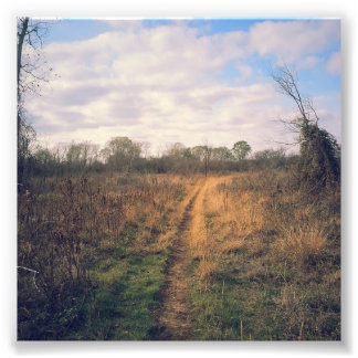 Impression Photo Une route moins fréquentée