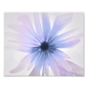 Impression Photo Une salade de violet, rose et gris