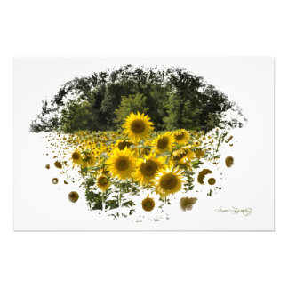 IMPRESSION PHOTO UNE TAILLE STANDARD