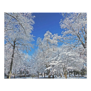 IMPRESSION PHOTO UNE VISION EN BLANC / LA PREMIÈRE CHUTE DE NEIGE T