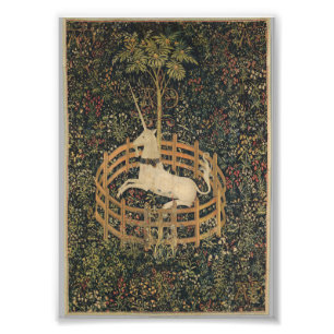 Impression Photo Unicorne en captivité