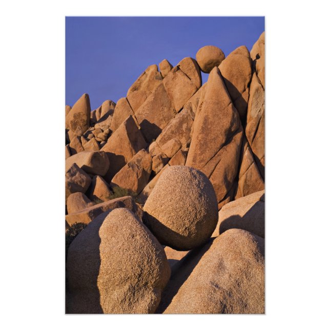 Impression Photo USA, Californie, Parc national de Joshua Tree. 2 (Devant)