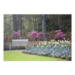 Impression Photo USA, Géorgie, Pine Mountain. Une bordure de