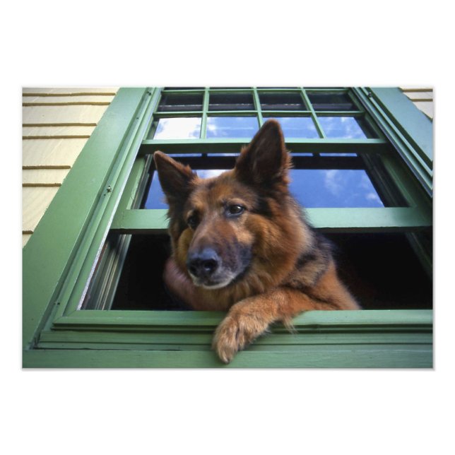 Impression Photo USA, Oregon, Portland. Griffez les cheveux longs (Devant)