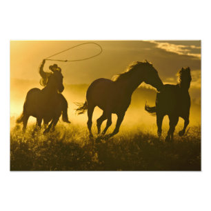 Impression Photo USA, Oregon, Seneca, Ponderosa Ranch.