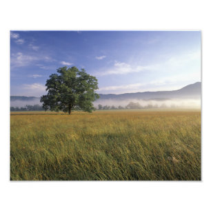 Impression Photo USA, Tennessee. Great Smokey Mountains 3