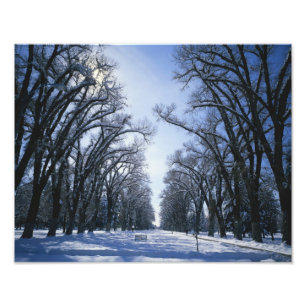 Impression Photo USA, Utah, Salt Lake City, Liberty Park,