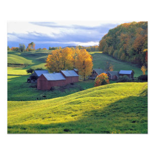 Impression Photo USA, Vermont, Jenne Farm. Les collines verdoyantes