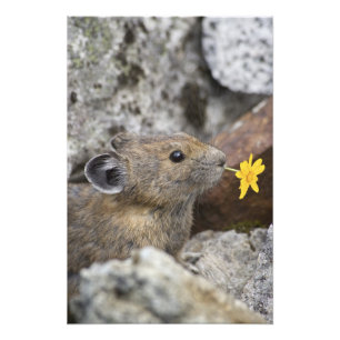 Impression Photo USA, Washington, North Cascades National Park,