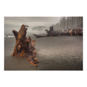 Impression Photo USA, Washington, Olympic National Park, Rialto 2