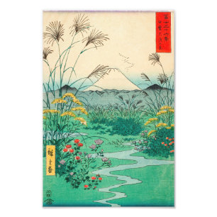 Impression Photo Utagawa Hiroshige - Plaine d'Otsuki dans la provin