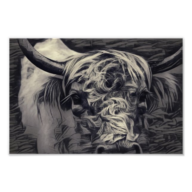 Impression Photo Vache noire et blanche des Highlands (Devant)