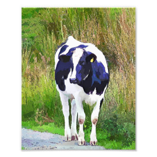 IMPRESSION PHOTO VACHES