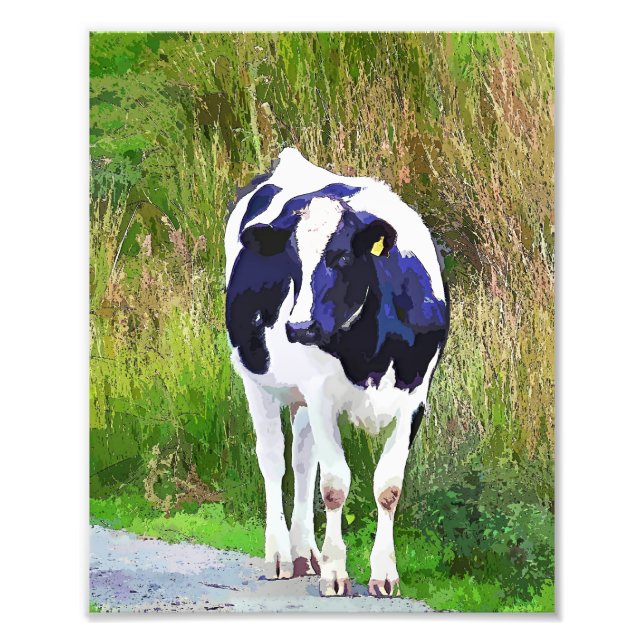 IMPRESSION PHOTO VACHES (Devant)