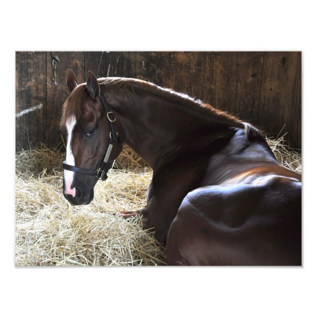 Impression Photo Vainqueur du derby de Virginie-Occidentale "Madefr (Devant)