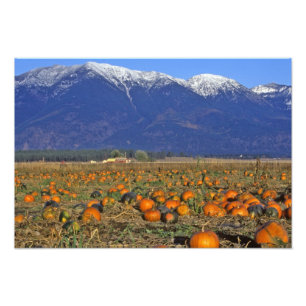Impression Photo Vallée de Flathead Montana aire de citrouilles