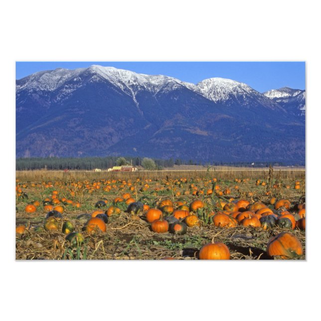 Impression Photo Vallée de Flathead Montana aire de citrouilles (Devant)