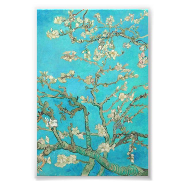 Impression Photo Van Gogh Almond Blossoms (Devant)