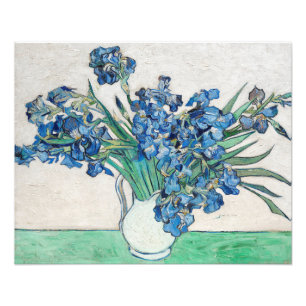 Impression Photo Van Gogh Peinture d'Irises de (1890)