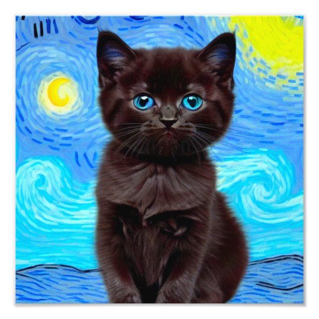 Impression Photo Van Gogh Starry Night Black Cat (Devant)