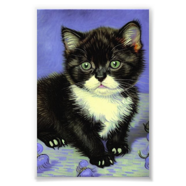Impression Photo Van Gogh Tuxedo Kitten (Devant)