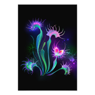 Impression Photo Vénus Flytrap lumineuse