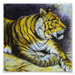 Impression Photo Verre Diapositive de lanterne magique A TIGER 1900