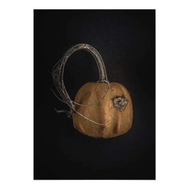 Impression Photo Version couleur Gourds No 13 (Devant)