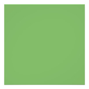 Impression Photo Vert bourgeon (couleur solide)