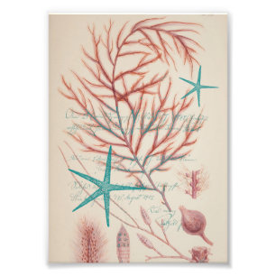 Impression Photo Vie maritime