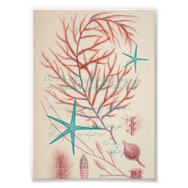 Impression Photo Vie maritime (Devant)