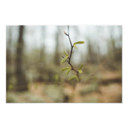 Impression Photo Vie verte
