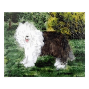 Impression Photo Vieil art anglais de chien de berger